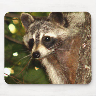 Raccoon "Bandit" Mousepad Muismat
