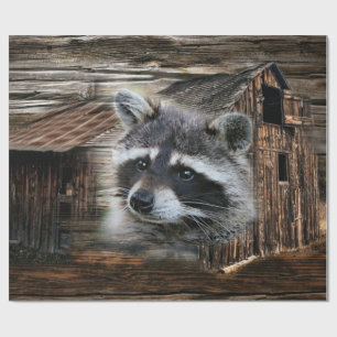 Raccoon bij de oude schuur cadeaupapier