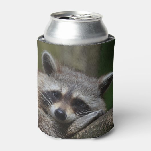 Raccoon Blikjeskoeler (Blikje Voorkant)