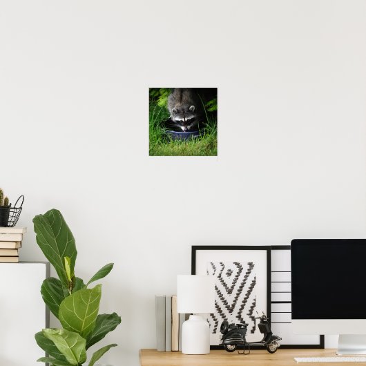 Raccoon Boire Impression (Bureau à domicile)