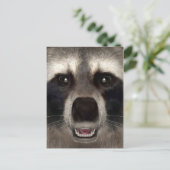 Raccoon Briefkaart (Staand voorkant)