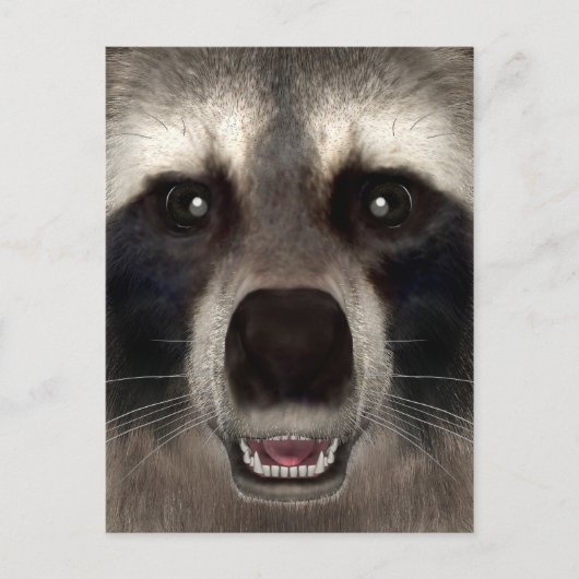 Raccoon Briefkaart (Voorkant)