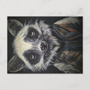 Raccoon Briefkaart
