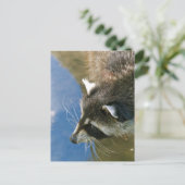 Raccoon Briefkaart (Staand voorkant)