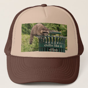 raccoon , chillin als een villiaan trucker pet