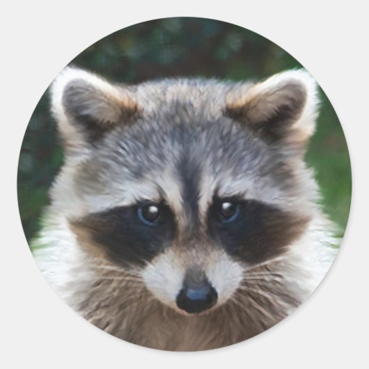 Raccoon Coon Animaux sauvages Stickers Faune (Devant)