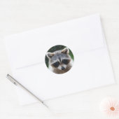 Raccoon Coon Animaux sauvages Stickers Faune (Enveloppe)
