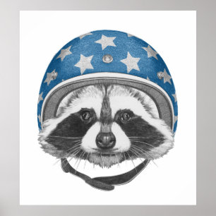 Raccoon Dareduivel Poster