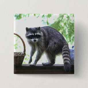 Raccoon en Cookie Jar Vierkante Button 5,1 Cm