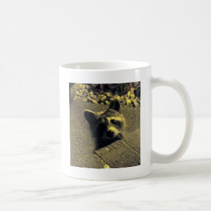 Raccoon ~ Gezicht van een Angel Koffiemok