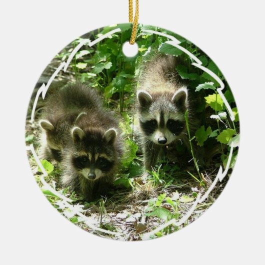 Raccoon Habitat Ornament (Voorkant)
