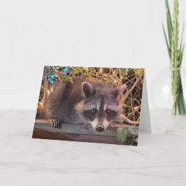 Raccoon Happy Birthday Kaart voor iedereen