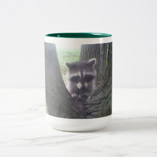 Raccoon in boom tweekleurige koffiemok
