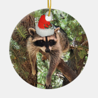 Raccoon in een boom met een kersthoed. keramisch ornament