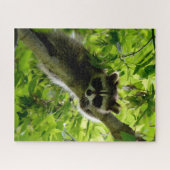 Raccoon in groene boom Cute gray gemaskerde wasbee Legpuzzel (Horizontaal)
