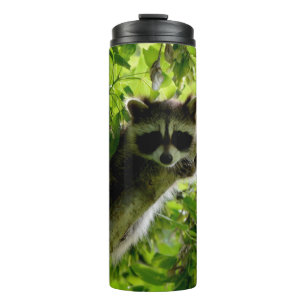 Raccoon in groene boom Cute gray gemaskerde wasbee Thermosbeker