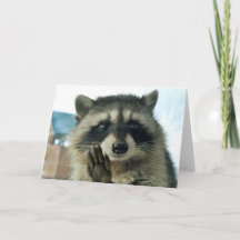 Raccoon - juste pour dire bonjour - carte de voeux
