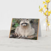 Raccoon Kaart (Gele Bloem)