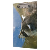 Raccoon Klembord (Links)