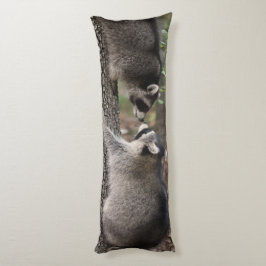 Raccoon-kussen. Lichaamskussen