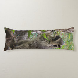 Raccoon-kussen. Lichaamskussen