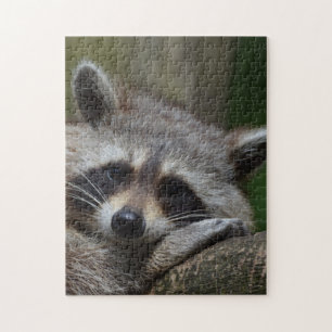 Raccoon Legpuzzel