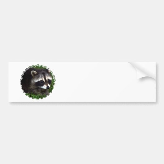 Raccoon Masker Bumpersticker (Voorkant)