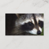 Raccoon Masker-Visitekaartjes Visitekaartje (Achterkant)