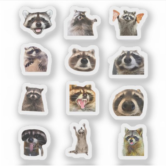 Raccoon Meme Funny Sticker Set Bundle (Devant)