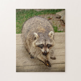 Raccoon met chip legpuzzel