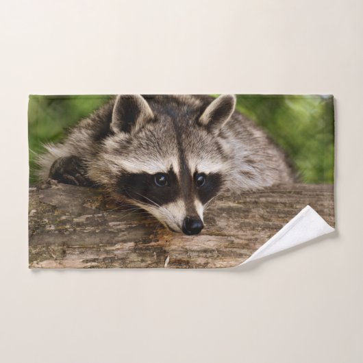 Raccoon mignon reposant sur un journal (Serviette à main)