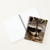Raccoon mignon reposant sur un journal (Intérieur)