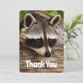 Raccoon mignon reposant sur un Merci de journal (Debout devant)