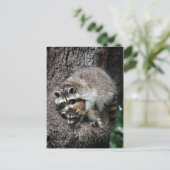 Raccoon Moeder en Kit Briefkaart (Staand voorkant)