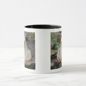 Raccoon Mok (Midden)