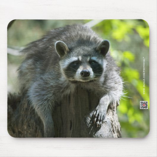 Raccoon Mousepad Muismat (Voorkant)
