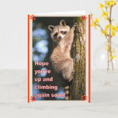 Raccoon obtient la carte de bien-être. (Fleur jaune)