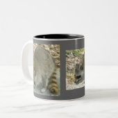 Raccoon on Rock Mok (Voorkant links)