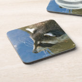 Raccoon Onderzetter (Linkerzijde)