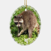 Raccoon Ornament (Rechts)