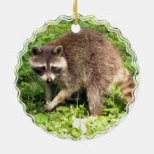 Raccoon Ornament (Achterkant)