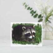 Raccoon Photo Briefkaart (Staand voorkant)