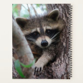 Raccoon Planner (Achterkant)
