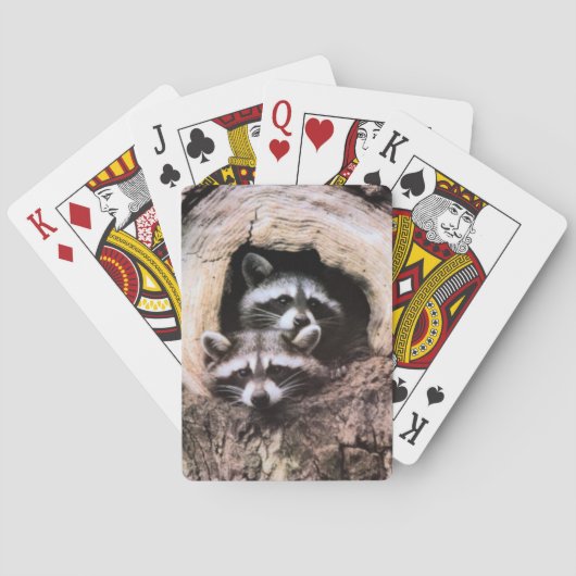 Raccoon Playing Cards Pokerkaarten (Achterkant)