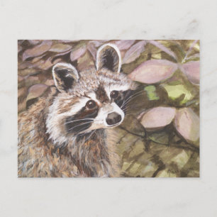 Raccoon Post Card Briefkaart