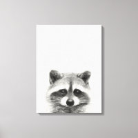 Raccoon potlood Tekening