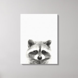 Raccoon potlood Tekening Canvas Afdruk