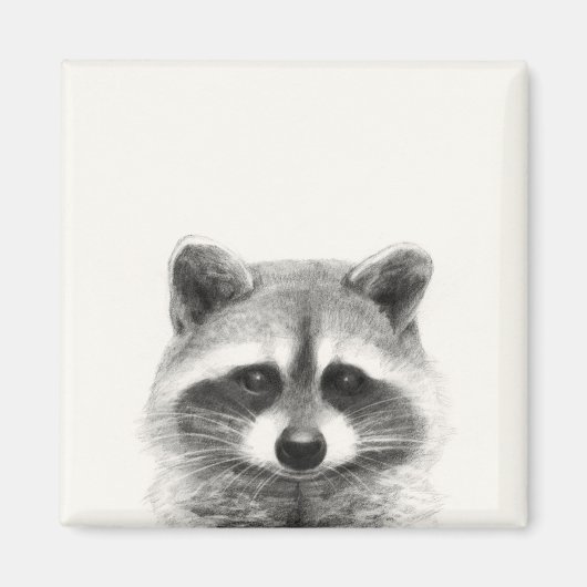 Raccoon potlood Tekening Magneet (Voorkant)