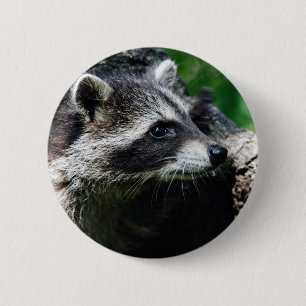 Raccoon profiel ronde button 5,7 cm