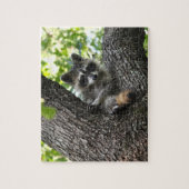 Raccoon - puzzel (Verticaal)